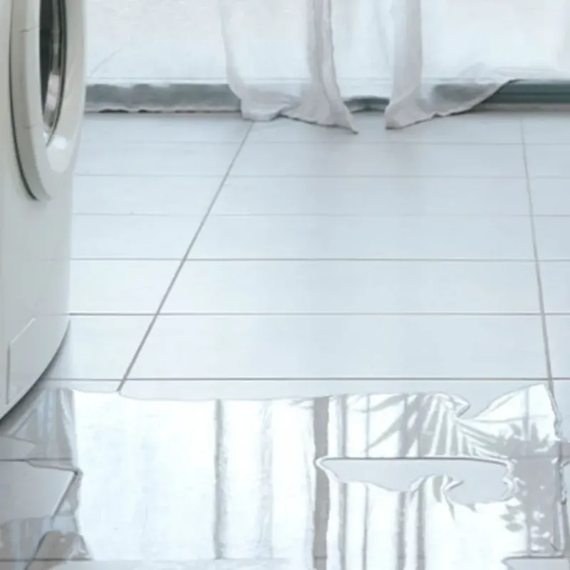 Appliance Leak Cleanup in Jacksonville, OR