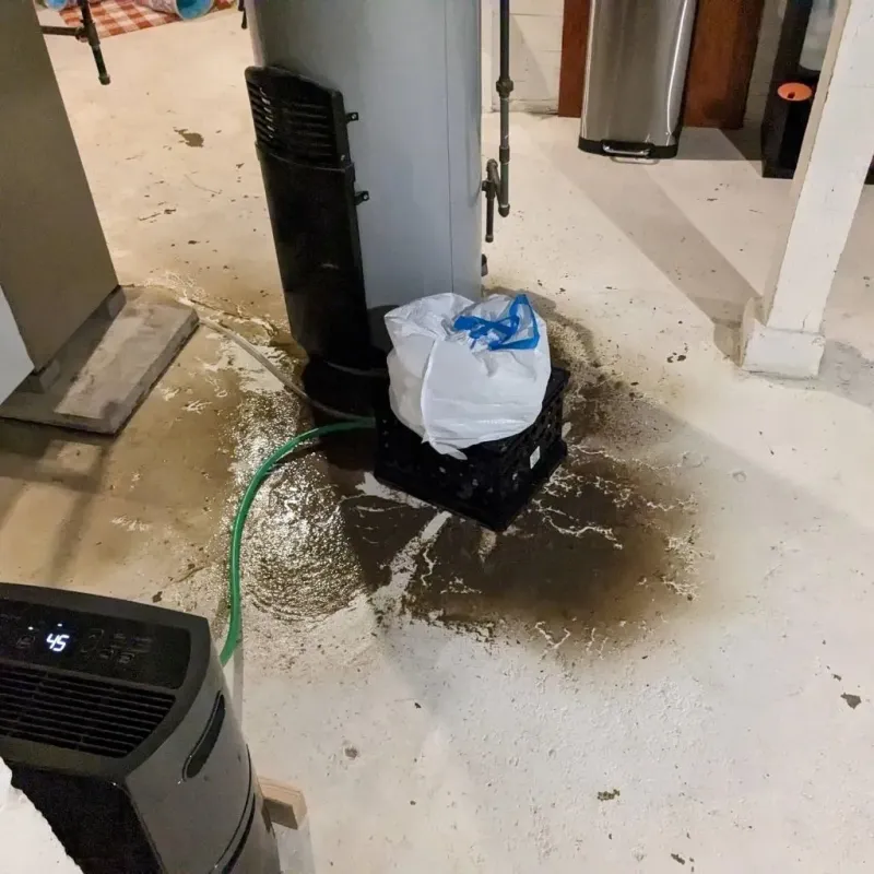 Sewage Backup Cleanup Service in Jacksonville, OR